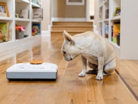 掃地機器人和洗地機怎么選哪個更實用